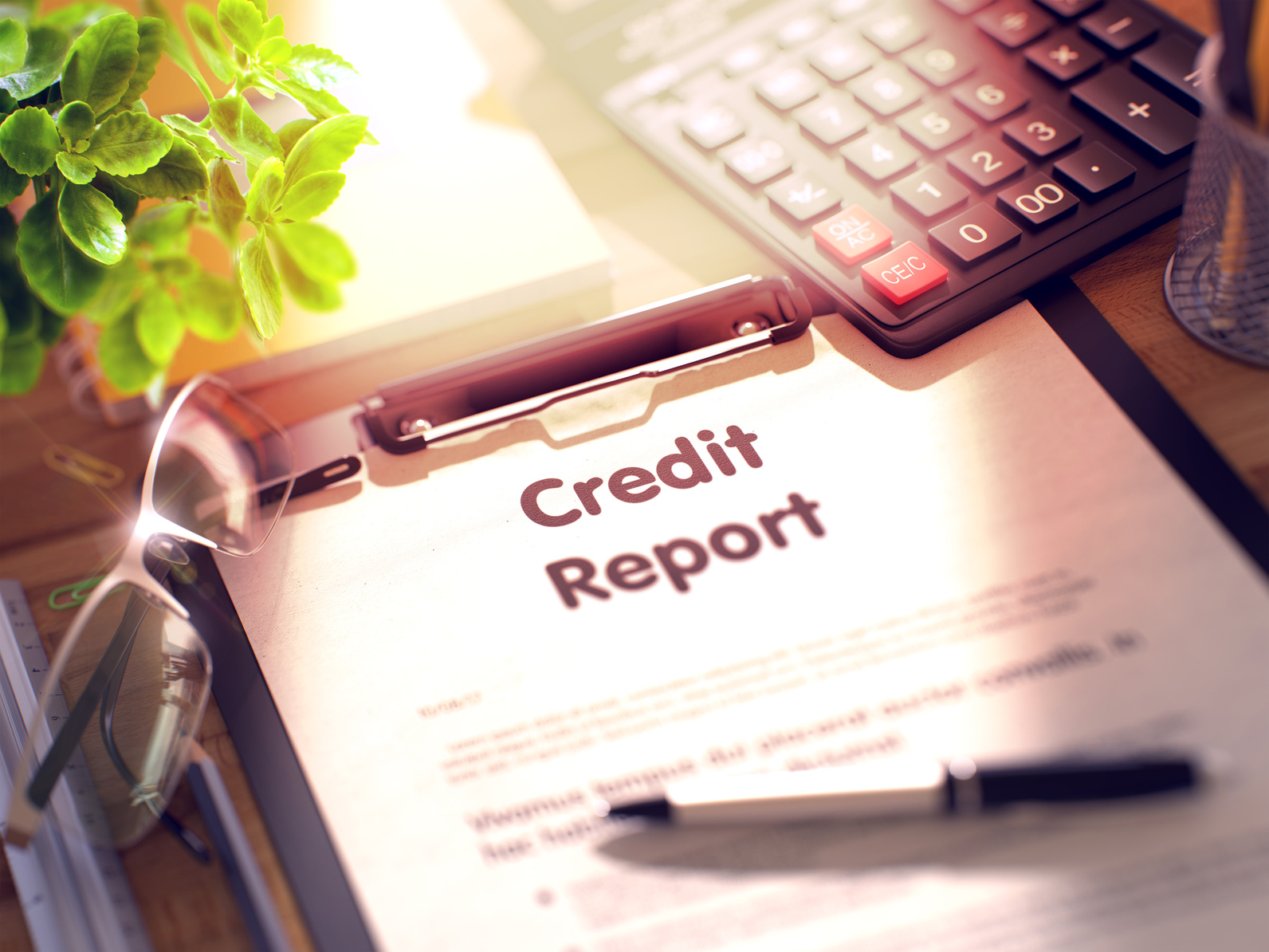Pay Day Loans: The Truth About Loans and Your Credit Score