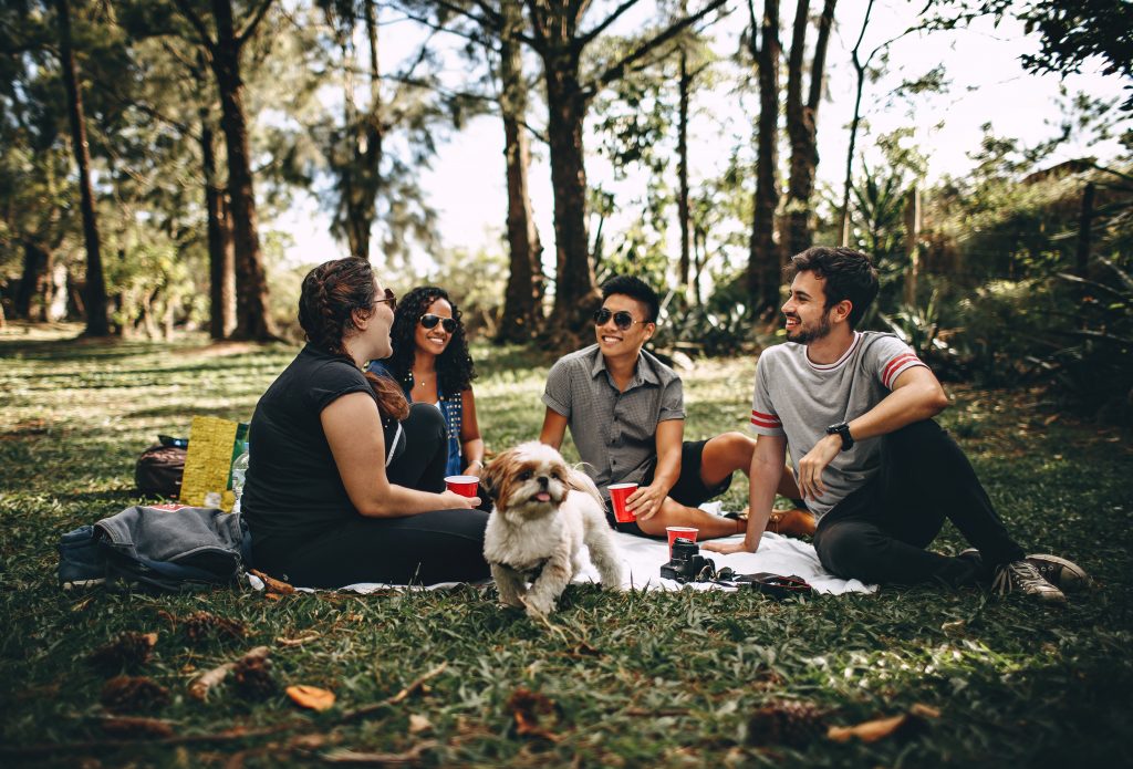 friends having a picnic with their dog