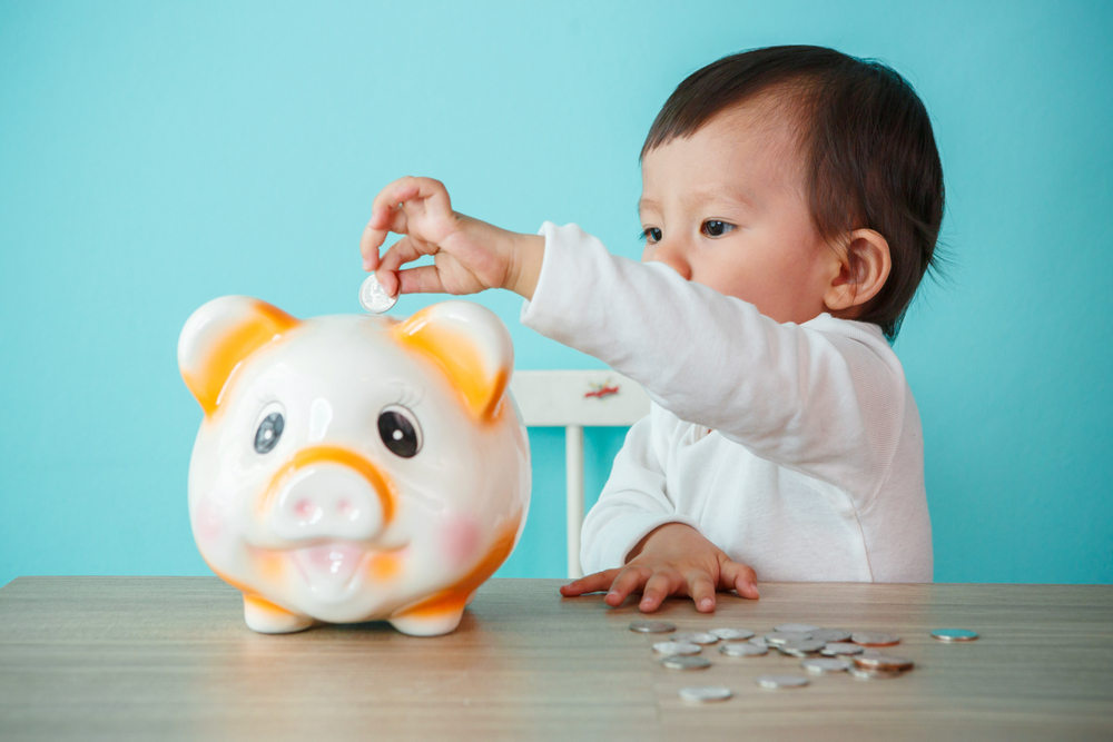 Baby Budget - Cigno Loans